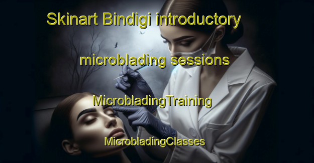 Skinart Bindigi introductory microblading sessions | MicrobladingTraining | MicrobladingClasses | SkinartTraining-Nigeria