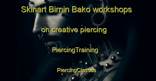 Skinart Birnin Bako workshops on creative piercing | PiercingTraining | PiercingClasses | SkinartTraining-Nigeria