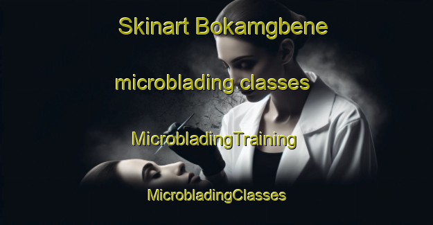 Skinart Bokamgbene microblading classes | #MicrobladingTraining #MicrobladingClasses #SkinartTraining-Nigeria