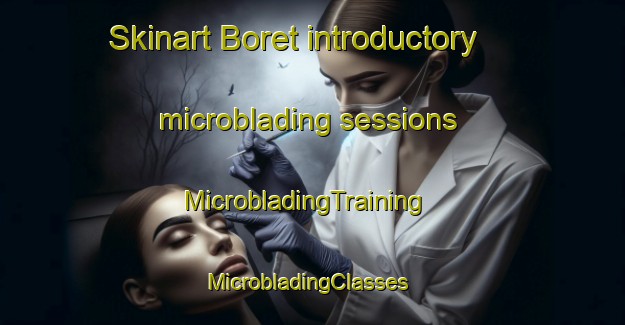 Skinart Boret introductory microblading sessions | MicrobladingTraining | MicrobladingClasses | SkinartTraining-Nigeria