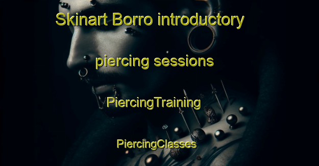 Skinart Borro introductory piercing sessions | PiercingTraining | PiercingClasses | SkinartTraining-Nigeria