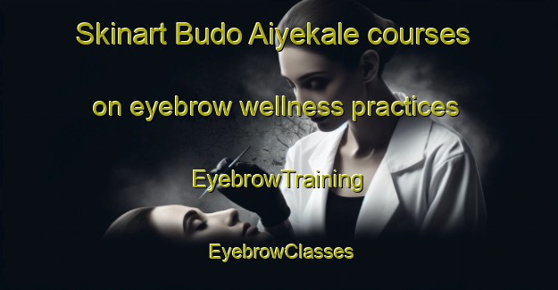 Skinart Budo Aiyekale courses on eyebrow wellness practices | EyebrowTraining | EyebrowClasses | SkinartTraining-Nigeria