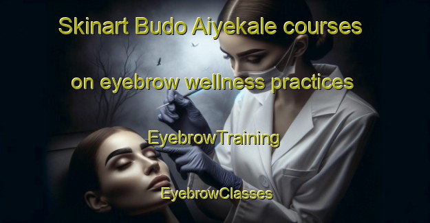 Skinart Budo Aiyekale courses on eyebrow wellness practices | EyebrowTraining | EyebrowClasses | SkinartTraining-Nigeria