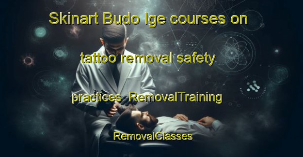 Skinart Budo Ige courses on tattoo removal safety practices | RemovalTraining | RemovalClasses | SkinartTraining-Nigeria