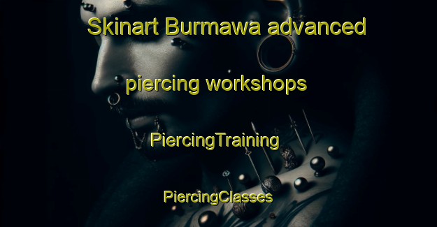 Skinart Burmawa advanced piercing workshops | #PiercingTraining #PiercingClasses #SkinartTraining-Nigeria