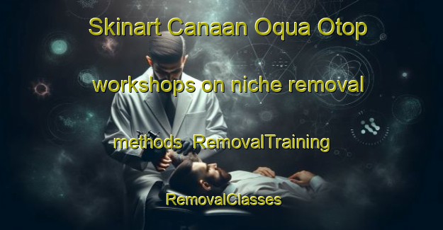 Skinart Canaan Oqua Otop workshops on niche removal methods | RemovalTraining | RemovalClasses | SkinartTraining-Nigeria