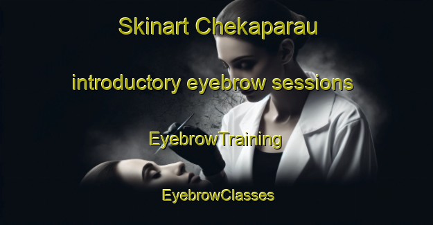 Skinart Chekaparau introductory eyebrow sessions | EyebrowTraining | EyebrowClasses | SkinartTraining-Nigeria