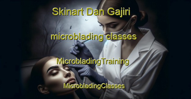 Skinart Dan Gajiri microblading classes | MicrobladingTraining | MicrobladingClasses | SkinartTraining-Nigeria