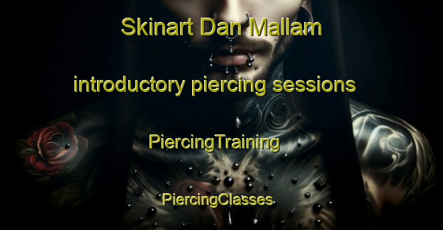 Skinart Dan Mallam introductory piercing sessions | PiercingTraining | PiercingClasses | SkinartTraining-Nigeria