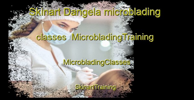 Skinart Dangela microblading classes | #MicrobladingTraining #MicrobladingClasses #SkinartTraining-Nigeria