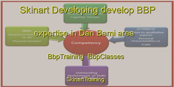 Skinart Developing develop BBP expertise in Dan Bami area | BbpTraining | BbpClasses | SkinartTraining-Nigeria