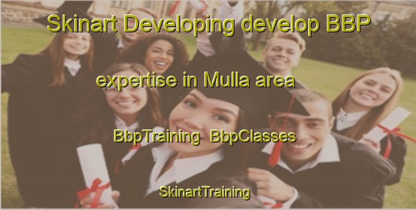 Skinart Developing develop BBP expertise in Mulla area | BbpTraining | BbpClasses | SkinartTraining-Nigeria