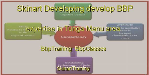 Skinart Developing develop BBP expertise in Tunga Manu area | BbpTraining | BbpClasses | SkinartTraining-Nigeria