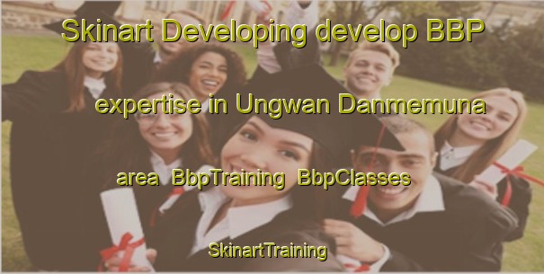 Skinart Developing develop BBP expertise in Ungwan Danmemuna area | BbpTraining | BbpClasses | SkinartTraining-Nigeria