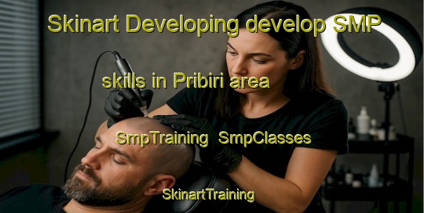 Skinart Developing develop SMP skills in Pribiri area | SmpTraining | SmpClasses | SkinartTraining-Nigeria