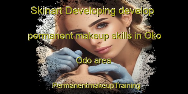 Skinart Developing develop permanent makeup skills in Oko Odo area | PermanentmakeupTraining | PermanentmakeupClasses | SkinartTraining-Nigeria