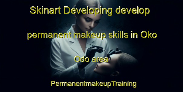 Skinart Developing develop permanent makeup skills in Oko Odo area | PermanentmakeupTraining | PermanentmakeupClasses | SkinartTraining-Nigeria