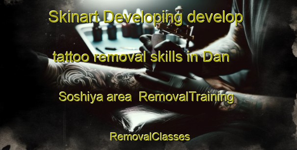 Skinart Developing develop tattoo removal skills in Dan Soshiya area | RemovalTraining | RemovalClasses | SkinartTraining-Nigeria