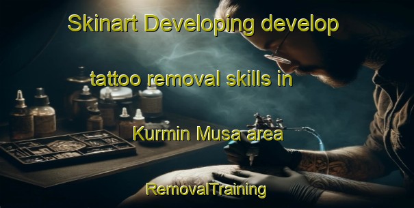 Skinart Developing develop tattoo removal skills in Kurmin Musa area | RemovalTraining | RemovalClasses | SkinartTraining-Nigeria