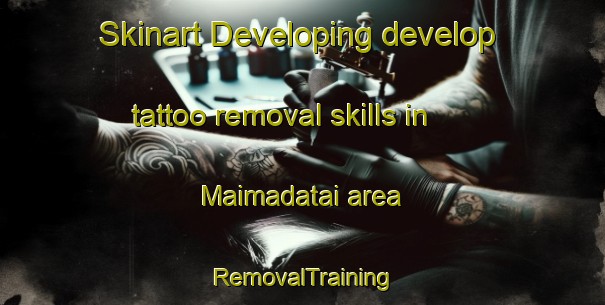 Skinart Developing develop tattoo removal skills in Maimadatai area | RemovalTraining | RemovalClasses | SkinartTraining-Nigeria