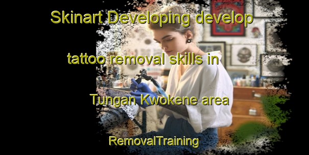 Skinart Developing develop tattoo removal skills in Tungan Kwokene area | RemovalTraining | RemovalClasses | SkinartTraining-Nigeria