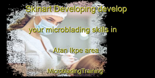 Skinart Developing develop your microblading skills in Atan Ikpe area | MicrobladingTraining | MicrobladingClasses | SkinartTraining-Nigeria