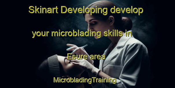 Skinart Developing develop your microblading skills in Esure area | MicrobladingTraining | MicrobladingClasses | SkinartTraining-Nigeria