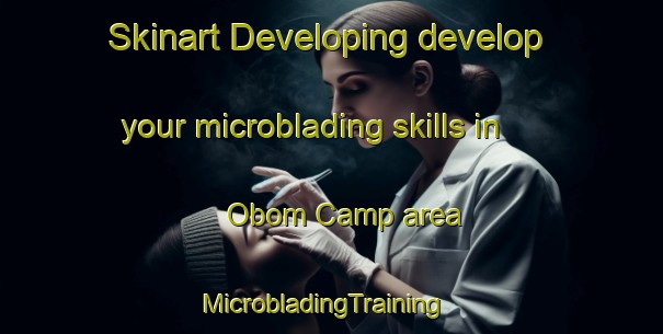 Skinart Developing develop your microblading skills in Obom Camp area | MicrobladingTraining | MicrobladingClasses | SkinartTraining-Nigeria