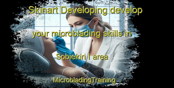Skinart Developing develop your microblading skills in Sobiekiri I area | MicrobladingTraining | MicrobladingClasses | SkinartTraining-Nigeria