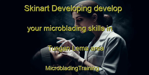 Skinart Developing develop your microblading skills in Tungan Lema area | MicrobladingTraining | MicrobladingClasses | SkinartTraining-Nigeria