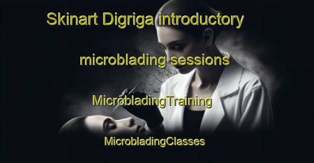 Skinart Digriga introductory microblading sessions | MicrobladingTraining | MicrobladingClasses | SkinartTraining-Nigeria