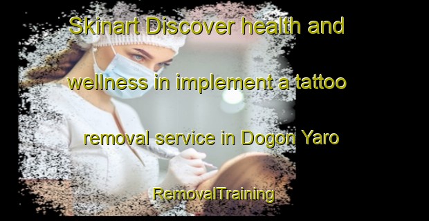 Skinart Discover health and wellness in implement a tattoo removal service in Dogon Yaro | RemovalTraining | RemovalClasses | SkinartTraining-Nigeria