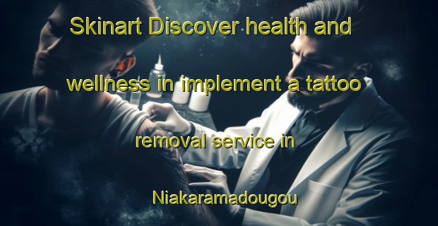 Skinart Discover health and wellness in implement a tattoo removal service in Niakaramadougou | RemovalTraining | RemovalClasses | SkinartTraining-Nigeria