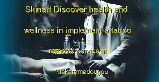 Skinart Discover health and wellness in implement a tattoo removal service in Niakaramadougou | RemovalTraining | RemovalClasses | SkinartTraining-Nigeria