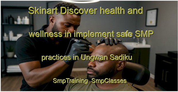 Skinart Discover health and wellness in implement safe SMP practices in Ungwan Sadiku | SmpTraining | SmpClasses | SkinartTraining-Nigeria