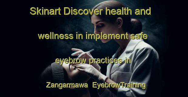 Skinart Discover health and wellness in implement safe eyebrow practices in Zangarmawa | EyebrowTraining | EyebrowClasses | SkinartTraining-Nigeria