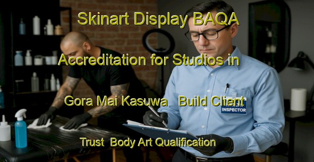 Skinart Display BAQA Accreditation for Studios in Gora Mai Kasuwa - Build Client Trust | Body Art Qualification Authority | BAQA-Nigeria