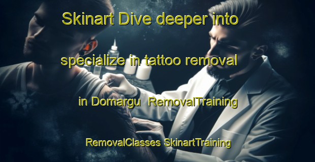 Skinart Dive deeper into specialize in tattoo removal in Domargu | #RemovalTraining #RemovalClasses #SkinartTraining-Nigeria