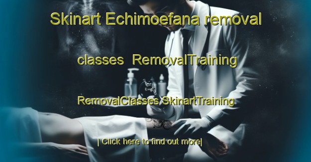 Skinart Echimoefana removal classes | #RemovalTraining #RemovalClasses #SkinartTraining-Nigeria