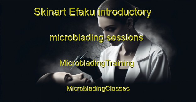 Skinart Efaku introductory microblading sessions | #MicrobladingTraining #MicrobladingClasses #SkinartTraining-Nigeria