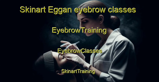 Skinart Eggan eyebrow classes | EyebrowTraining | EyebrowClasses | SkinartTraining-Nigeria