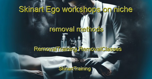 Skinart Ego workshops on niche removal methods | #RemovalTraining #RemovalClasses #SkinartTraining-Nigeria