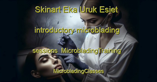 Skinart Eka Uruk Esiet introductory microblading sessions | #MicrobladingTraining #MicrobladingClasses #SkinartTraining-Nigeria