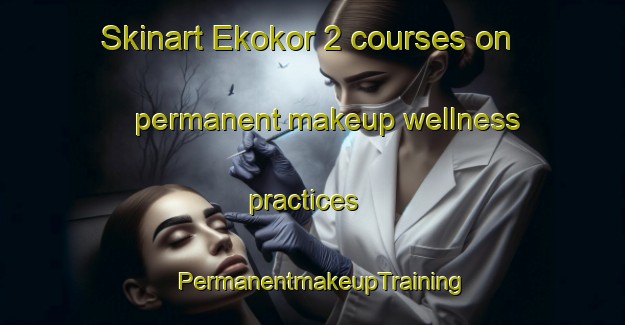 Skinart Ekokor 2 courses on permanent makeup wellness practices | PermanentmakeupTraining | PermanentmakeupClasses | SkinartTraining-Nigeria