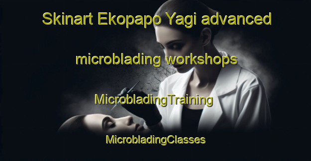 Skinart Ekopapo Yagi advanced microblading workshops | #MicrobladingTraining #MicrobladingClasses #SkinartTraining-Nigeria