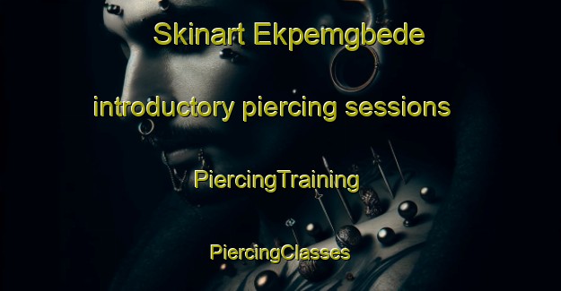 Skinart Ekpemgbede introductory piercing sessions | #PiercingTraining #PiercingClasses #SkinartTraining-Nigeria