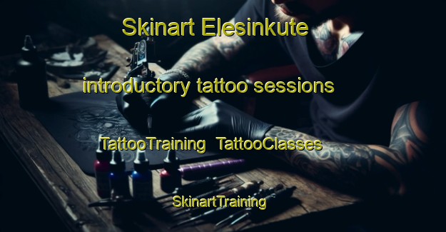 Skinart Elesinkute introductory tattoo sessions | TattooTraining | TattooClasses | SkinartTraining-Nigeria