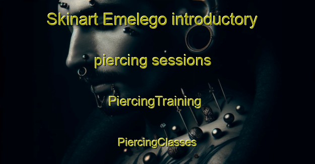 Skinart Emelego introductory piercing sessions | #PiercingTraining #PiercingClasses #SkinartTraining-Nigeria