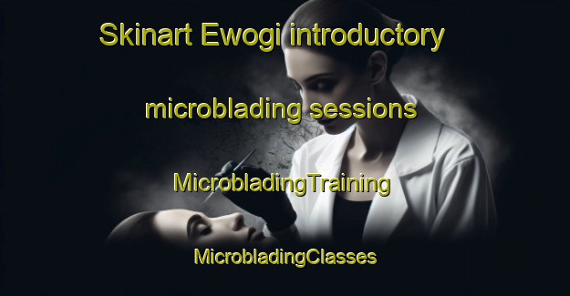 Skinart Ewogi introductory microblading sessions | #MicrobladingTraining #MicrobladingClasses #SkinartTraining-Nigeria