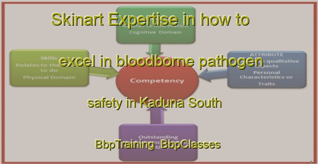 Skinart Expertise in how to excel in bloodborne pathogen safety in Kaduna South | BbpTraining | BbpClasses | SkinartTraining-Nigeria